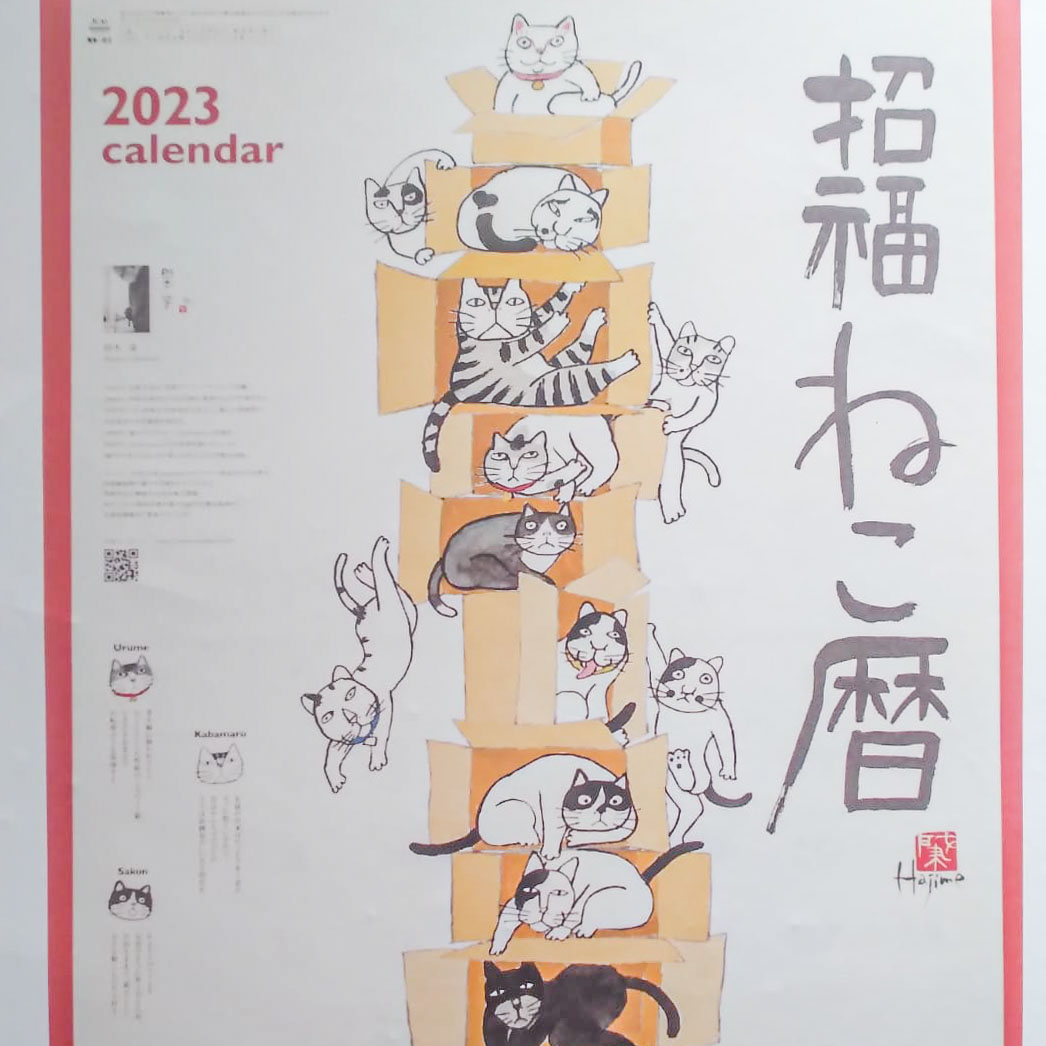 WhatsApp Image 2023-01-09 at 11.30.44 PM (2)