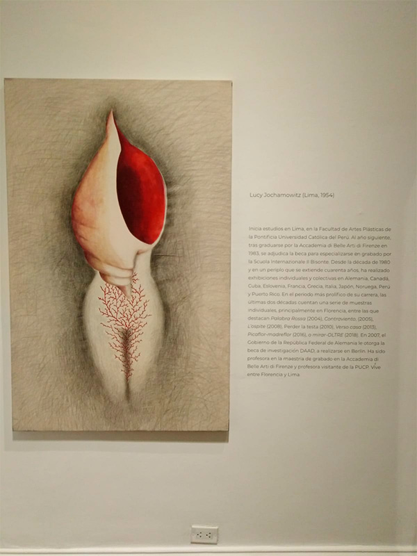 11WhatsApp-Image-2022-06-17-at-11.27.54-AM