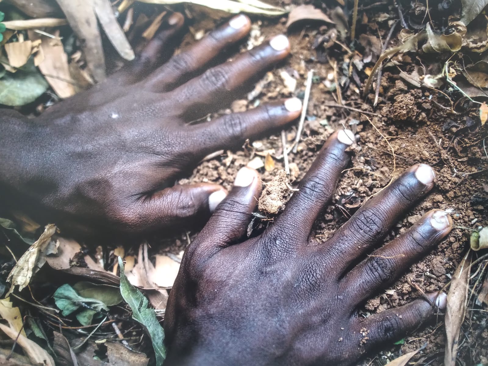 WhatsApp Image 2022-11-28 at 12.49.03 PM