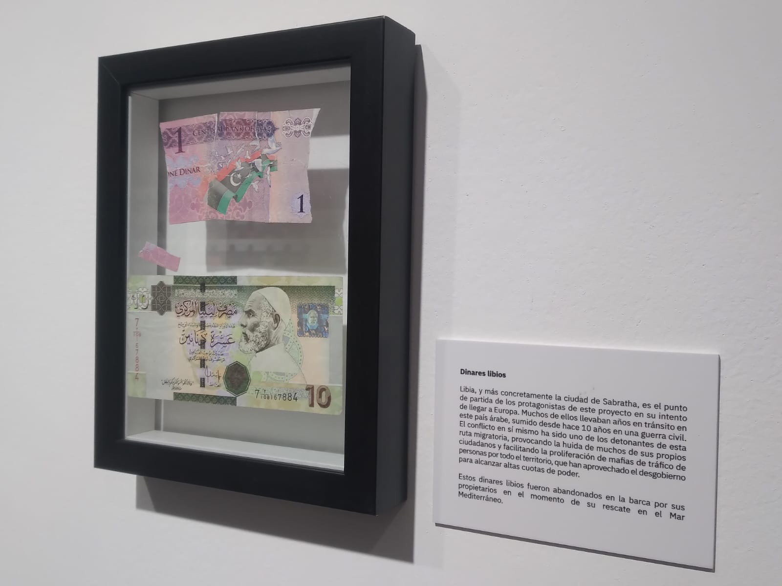 WhatsApp Image 2022-11-28 at 12.49.56 PM (2)