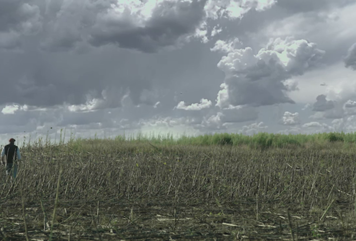 Andares. Acciones Cinematográficas