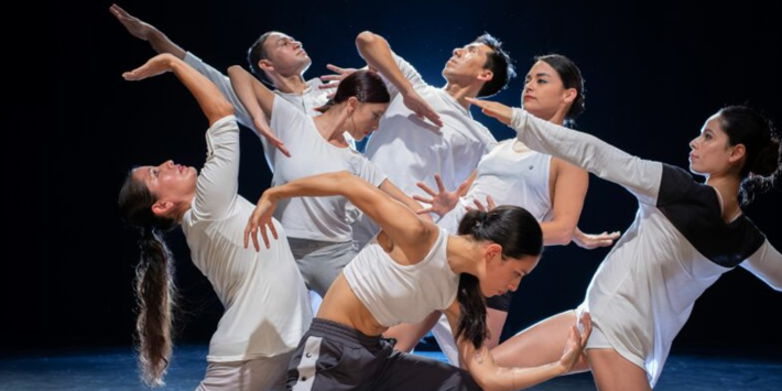 Danza Contemporánea Universitaria