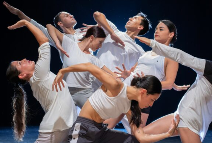 Danza Contemporánea Universitaria