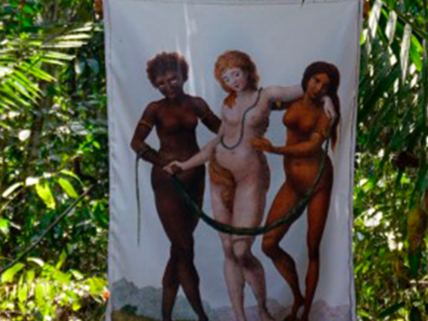 Un jardín y algunas selvas