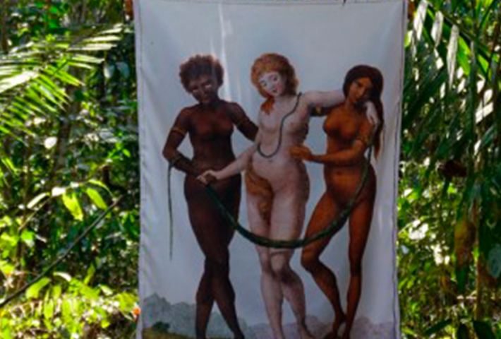 Un jardín y algunas selvas