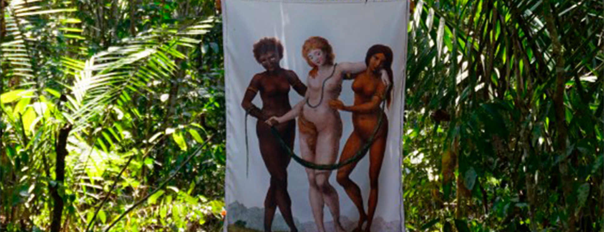 Un jardín y algunas selvas