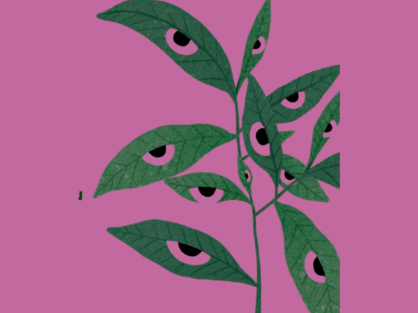 Derecho de vida. Tejiendo vínculos ecofeministas en el Perú
