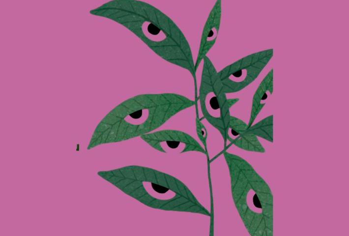 Derecho de vida. Tejiendo vínculos ecofeministas en el Perú