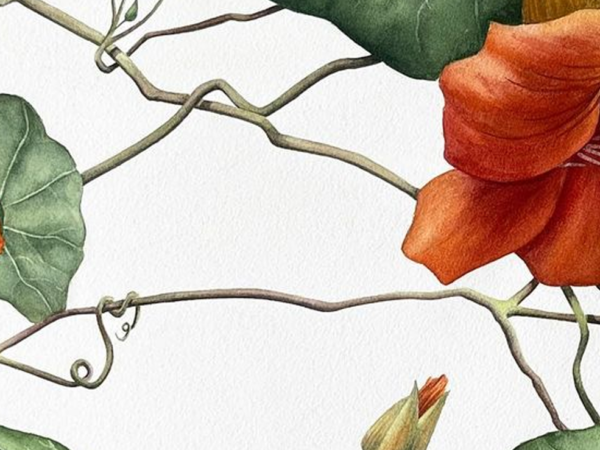 Primavera