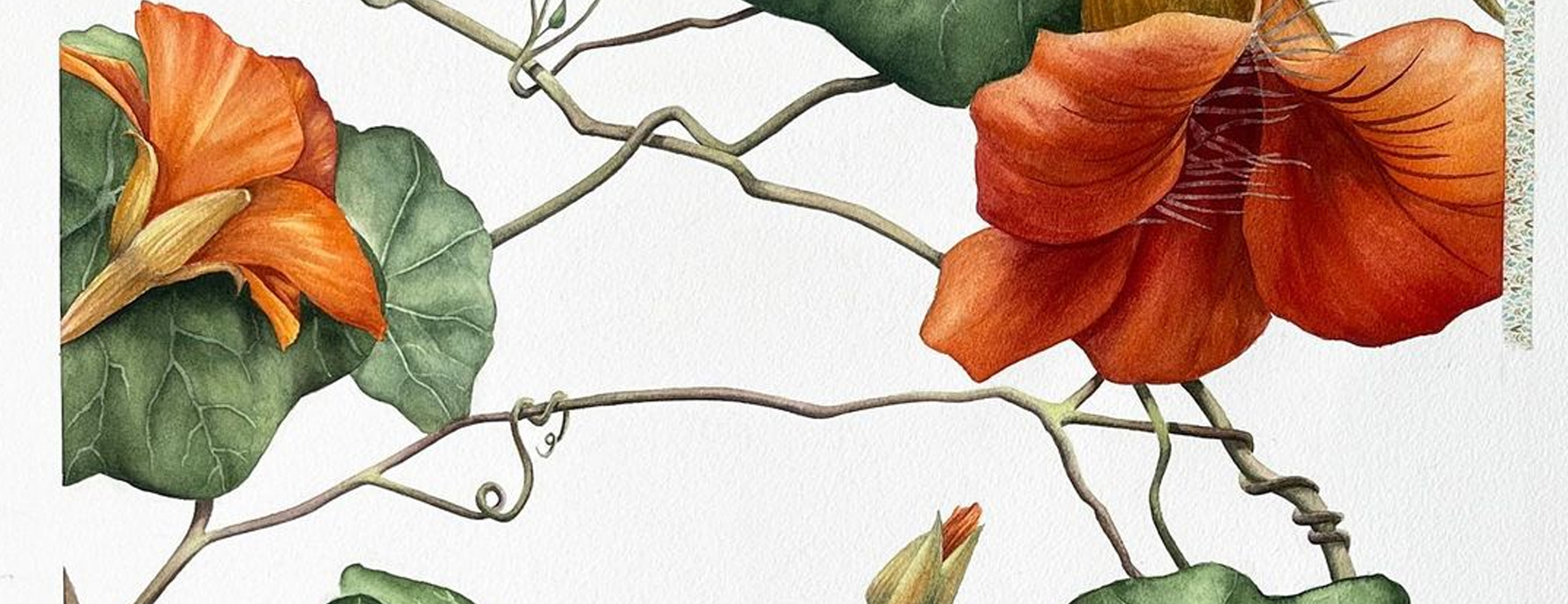 Primavera
