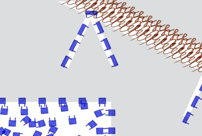 Festival Léeme 2024