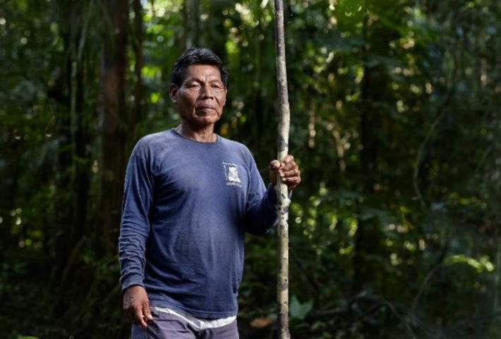 Guardianes del bosque