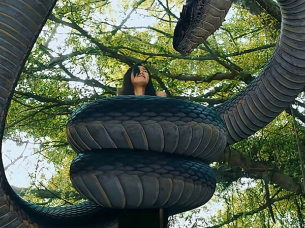Anaconda: El despertar