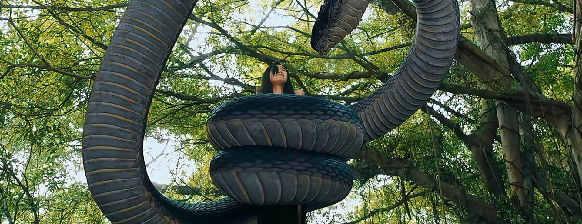 Anaconda: El despertar