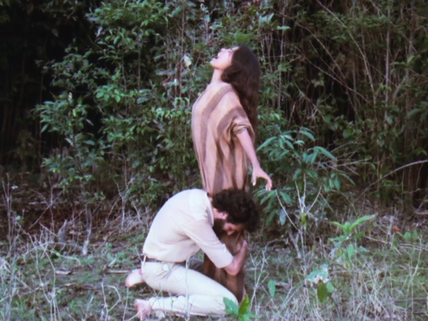 El viento del Ayahuasca