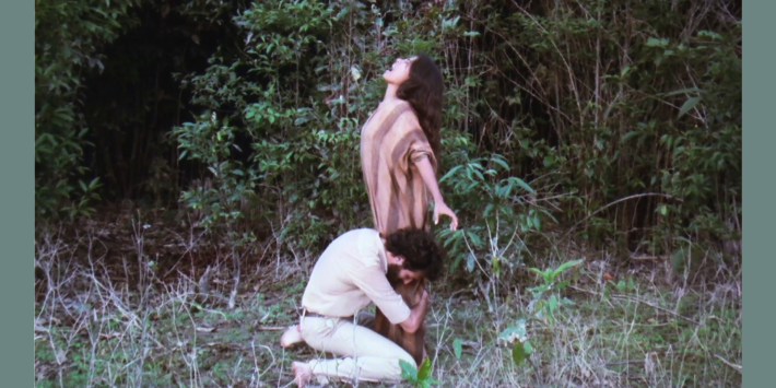El viento del Ayahuasca
