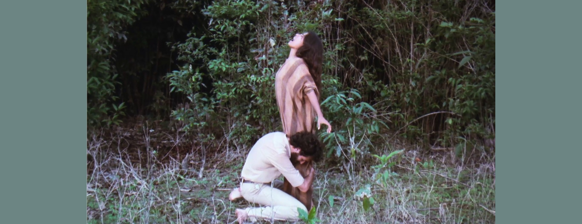 El viento del Ayahuasca