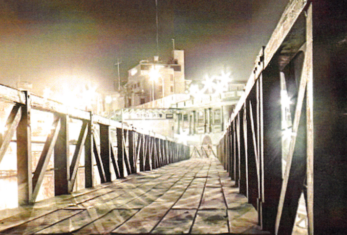 El abrazo del lagarto