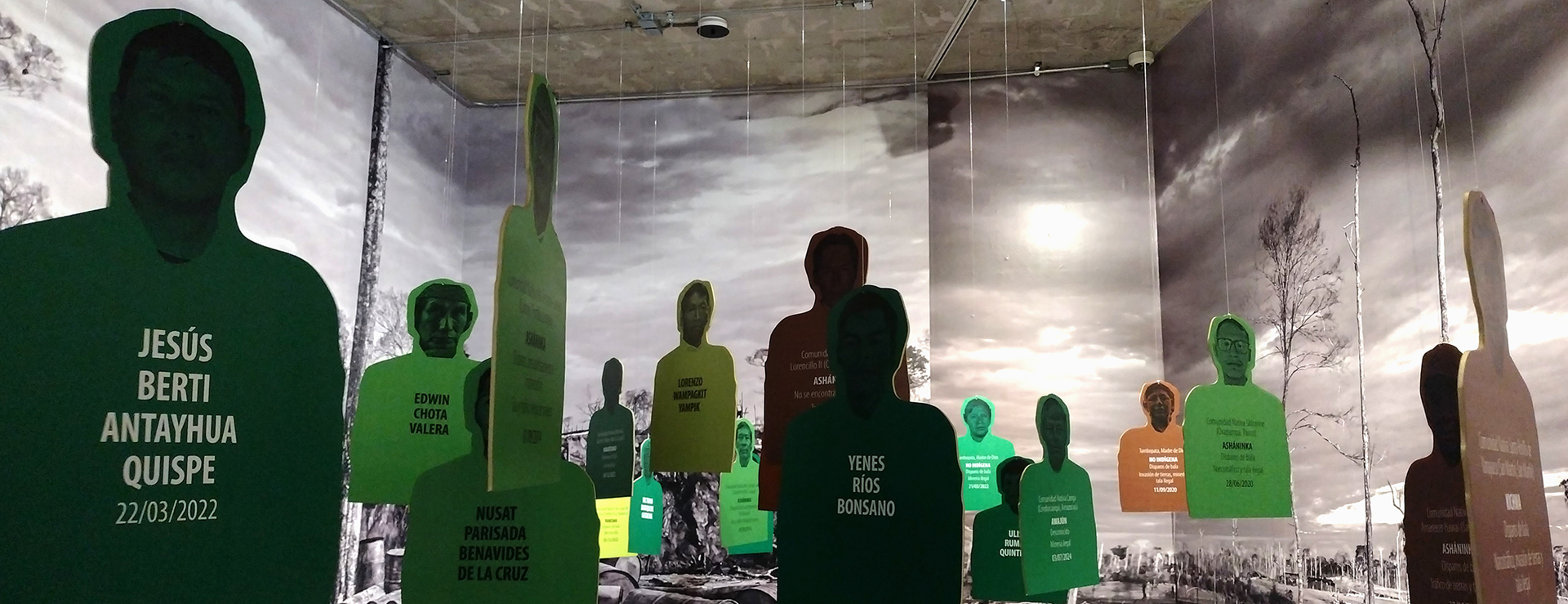 Cuando los bosques lloran. Mártires defensores ambientales