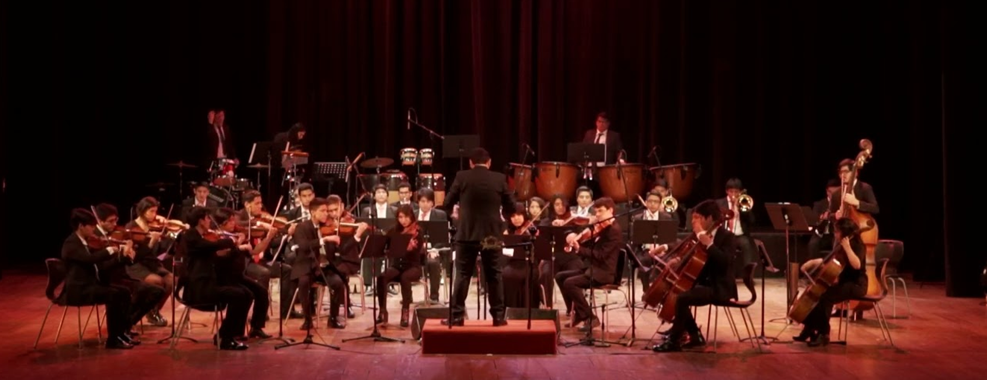 El arte de dirigir la orquesta