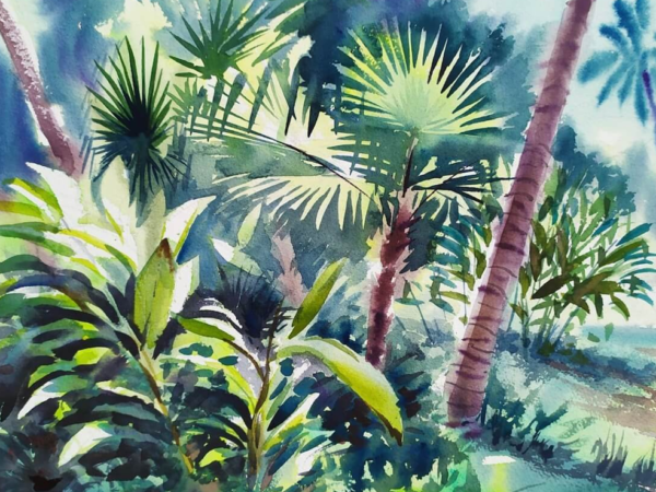 Sabiduría de las plantas amazónicas