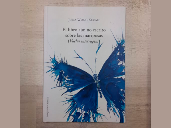 El libro aún no escrito sobre las mariposas