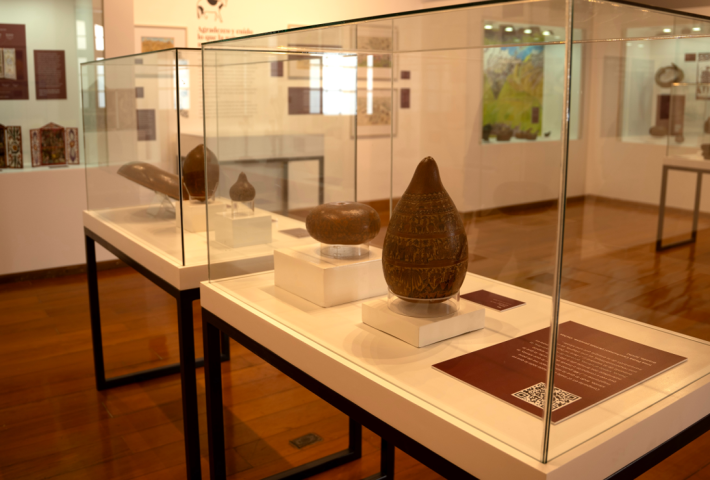 Museo de Arte de San Marcos