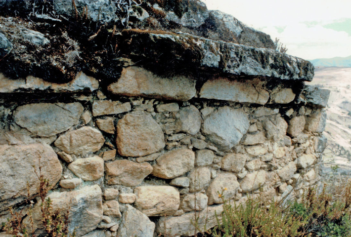 Buen vivir. La ritualidad y el cuidado del medio ambiente en las artes indígenas