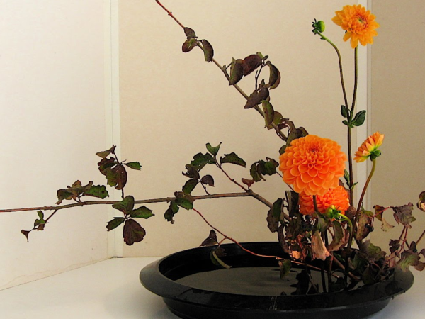Bonsái e Ikebana