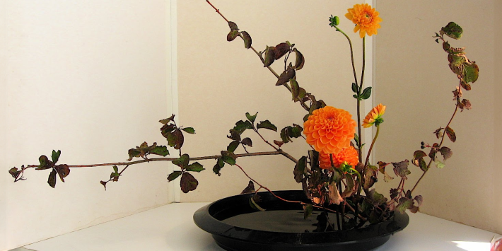 Bonsái e Ikebana