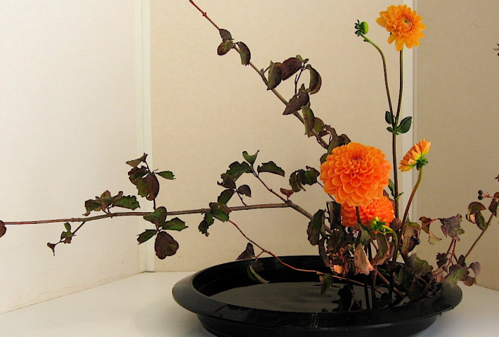 Bonsái e Ikebana