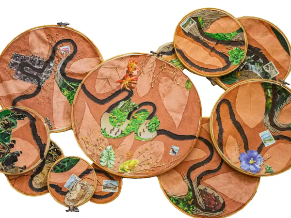 Imaginando el Amazonas
