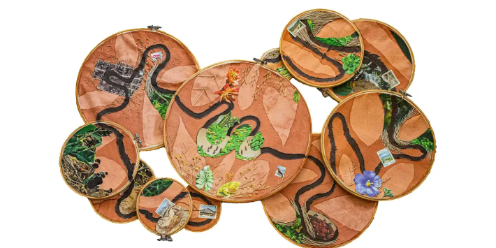 Imaginando el Amazonas