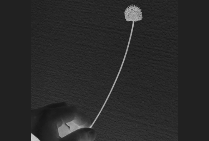 Si a orillas de un desierto una mano