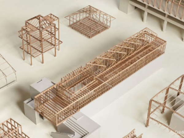 Takahashi. Construir en madera en el Perú