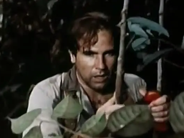 En la selva no hay estrellas