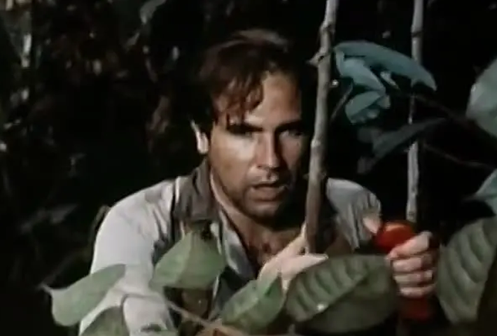 En la selva no hay estrellas