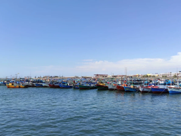 Smart Rave Paracas