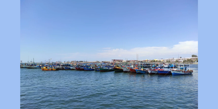 Smart Rave Paracas