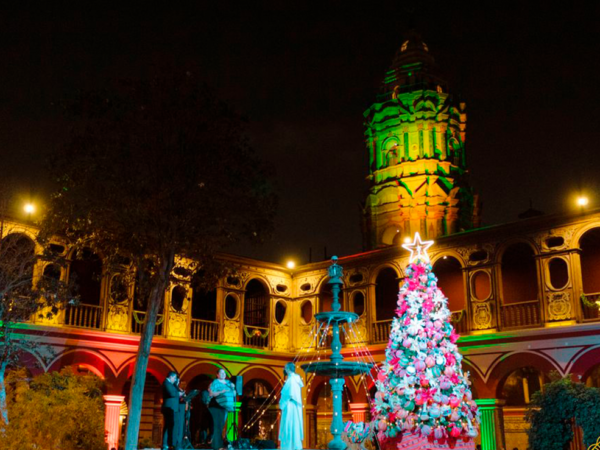 Encendido del Árbol de Navidad