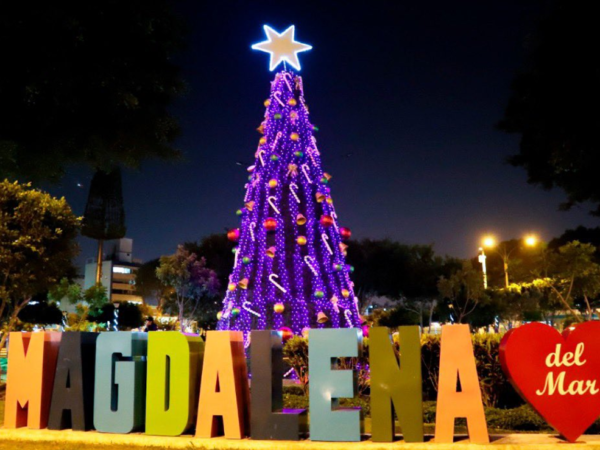 Encendido de árbol de navidad
