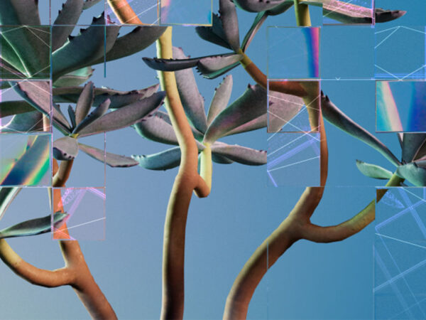 HERRAMIENTAS DIGITALES PARA LA CREACIÓN DE ARTE