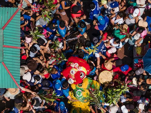 NUEVO AÑO CHINO: SERPIENTE DE MADERA