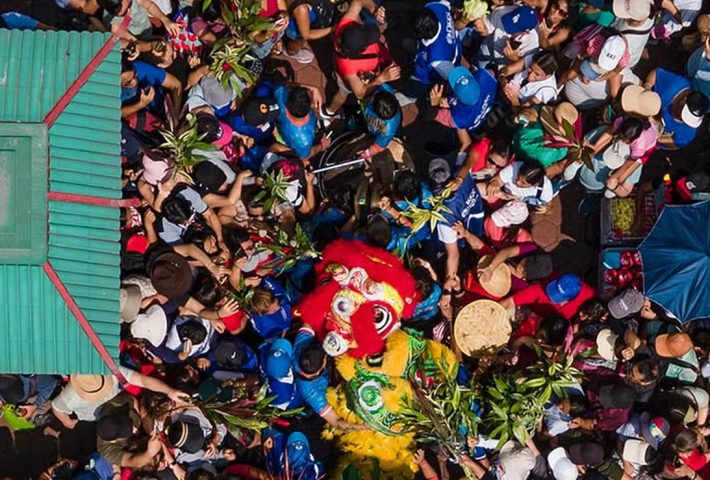 NUEVO AÑO CHINO: SERPIENTE DE MADERA