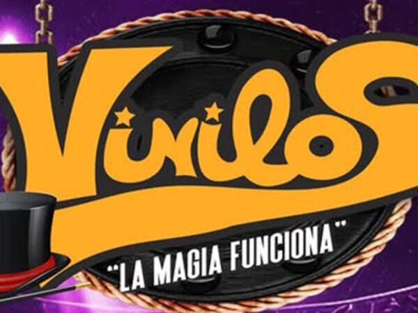 LA MEGA FERIA DE VINILOS