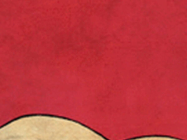 GIMNASIUM. RUTINA COMPLETA