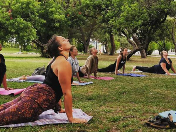 YOGATÓN: SERENIDAD EN MOVIMIENTO