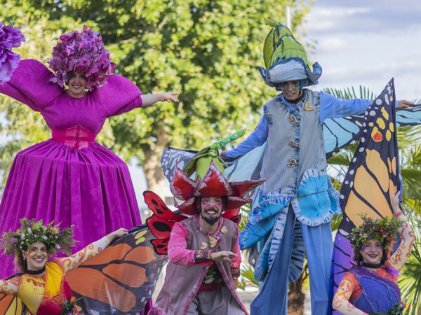 COMPARSA: EL ENCANTO DEL BOSQUE