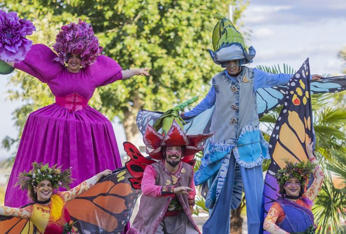 COMPARSA: EL ENCANTO DEL BOSQUE