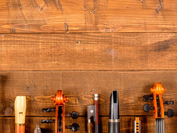 SABORES DE RITMO TROPICAL: MÚSICA EN VIVO